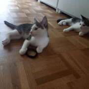 ヒメ日記 2025/07/05 07:24 投稿 篠原 MadameRest(マダムレスト)