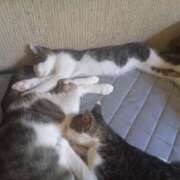 ヒメ日記 2025/07/05 12:38 投稿 篠原 MadameRest(マダムレスト)