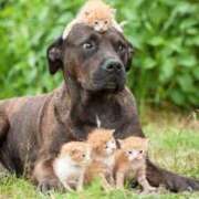 ヒメ日記 2025/07/05 15:37 投稿 篠原 MadameRest(マダムレスト)