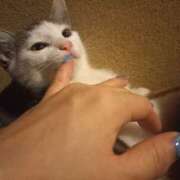 ヒメ日記 2025/07/06 04:37 投稿 篠原 MadameRest(マダムレスト)