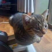 ヒメ日記 2025/07/06 12:23 投稿 篠原 MadameRest(マダムレスト)