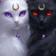 ヒメ日記 2025/07/06 15:48 投稿 篠原 MadameRest(マダムレスト)