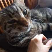 ヒメ日記 2025/07/07 12:17 投稿 篠原 MadameRest(マダムレスト)