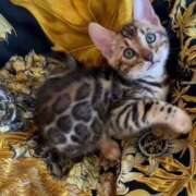 ヒメ日記 2025/07/07 15:43 投稿 篠原 MadameRest(マダムレスト)