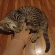 ヒメ日記 2025/07/08 22:31 投稿 篠原 MadameRest(マダムレスト)