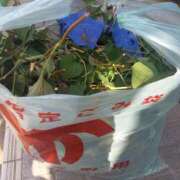 ヒメ日記 2025/07/09 09:00 投稿 篠原 MadameRest(マダムレスト)