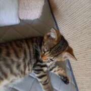 ヒメ日記 2025/07/09 17:21 投稿 篠原 MadameRest(マダムレスト)