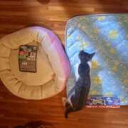 ヒメ日記 2025/07/09 21:36 投稿 篠原 MadameRest(マダムレスト)