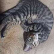 ヒメ日記 2025/07/09 23:57 投稿 篠原 MadameRest(マダムレスト)