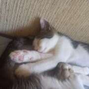 ヒメ日記 2025/07/10 12:33 投稿 篠原 MadameRest(マダムレスト)