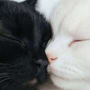 ヒメ日記 2025/07/11 12:38 投稿 篠原 MadameRest(マダムレスト)