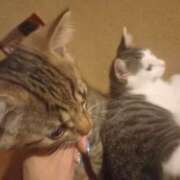 ヒメ日記 2025/07/12 03:48 投稿 篠原 MadameRest(マダムレスト)