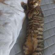 ヒメ日記 2025/07/12 07:40 投稿 篠原 MadameRest(マダムレスト)