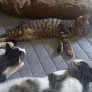 ヒメ日記 2025/07/12 12:15 投稿 篠原 MadameRest(マダムレスト)