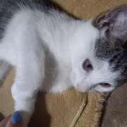 ヒメ日記 2025/07/14 02:37 投稿 篠原 MadameRest(マダムレスト)