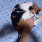 ヒメ日記 2025/07/14 07:31 投稿 篠原 MadameRest(マダムレスト)