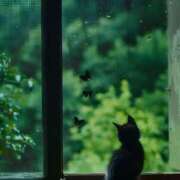 ヒメ日記 2025/07/14 12:33 投稿 篠原 MadameRest(マダムレスト)