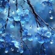 ヒメ日記 2025/07/15 12:29 投稿 篠原 MadameRest(マダムレスト)