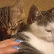 ヒメ日記 2025/07/16 05:31 投稿 篠原 MadameRest(マダムレスト)