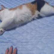 ヒメ日記 2025/07/17 17:55 投稿 篠原 MadameRest(マダムレスト)