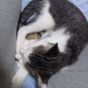 ヒメ日記 2025/07/18 06:15 投稿 篠原 MadameRest(マダムレスト)