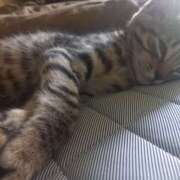 ヒメ日記 2025/07/18 13:01 投稿 篠原 MadameRest(マダムレスト)