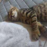 ヒメ日記 2025/07/19 12:41 投稿 篠原 MadameRest(マダムレスト)