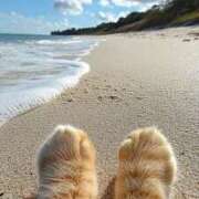 ヒメ日記 2025/07/21 12:58 投稿 篠原 MadameRest(マダムレスト)