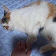 ヒメ日記 2025/07/21 22:00 投稿 篠原 MadameRest(マダムレスト)