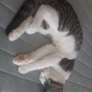 ヒメ日記 2025/07/22 13:12 投稿 篠原 MadameRest(マダムレスト)