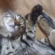 ヒメ日記 2025/07/23 12:42 投稿 篠原 MadameRest(マダムレスト)