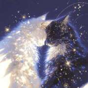 ヒメ日記 2025/07/24 01:44 投稿 篠原 MadameRest(マダムレスト)