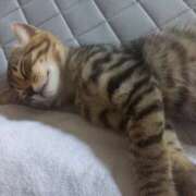 ヒメ日記 2025/07/24 12:31 投稿 篠原 MadameRest(マダムレスト)