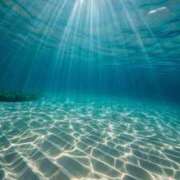 ヒメ日記 2025/07/25 07:20 投稿 篠原 MadameRest(マダムレスト)