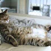 ヒメ日記 2025/07/25 15:46 投稿 篠原 MadameRest(マダムレスト)