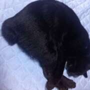 ヒメ日記 2025/07/26 07:42 投稿 篠原 MadameRest(マダムレスト)