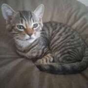 ヒメ日記 2025/07/26 12:35 投稿 篠原 MadameRest(マダムレスト)