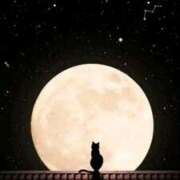 ヒメ日記 2025/07/27 02:19 投稿 篠原 MadameRest(マダムレスト)