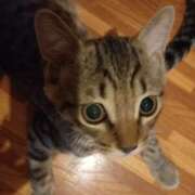 ヒメ日記 2025/07/27 04:21 投稿 篠原 MadameRest(マダムレスト)