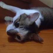 ヒメ日記 2025/07/27 07:31 投稿 篠原 MadameRest(マダムレスト)