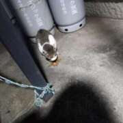 ヒメ日記 2025/07/28 04:02 投稿 篠原 MadameRest(マダムレスト)