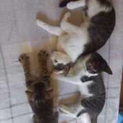 ヒメ日記 2025/07/28 13:00 投稿 篠原 MadameRest(マダムレスト)