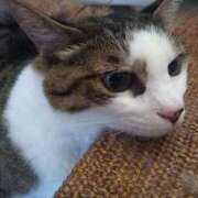 ヒメ日記 2025/07/29 14:19 投稿 篠原 MadameRest(マダムレスト)