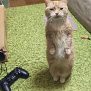 ヒメ日記 2025/07/30 17:01 投稿 篠原 MadameRest(マダムレスト)