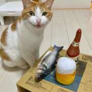 ヒメ日記 2025/07/31 16:01 投稿 篠原 MadameRest(マダムレスト)