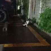 ヒメ日記 2025/08/01 04:45 投稿 篠原 MadameRest(マダムレスト)