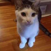 ヒメ日記 2025/08/02 03:47 投稿 篠原 MadameRest(マダムレスト)