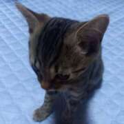 ヒメ日記 2025/08/02 07:14 投稿 篠原 MadameRest(マダムレスト)