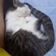 ヒメ日記 2025/08/02 12:53 投稿 篠原 MadameRest(マダムレスト)