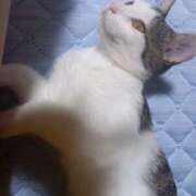 ヒメ日記 2025/08/03 12:43 投稿 篠原 MadameRest(マダムレスト)